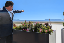 Steve Chavez Albuquerque Net Worth