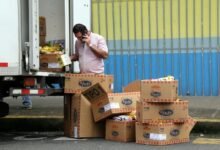 call distribution regional analysis