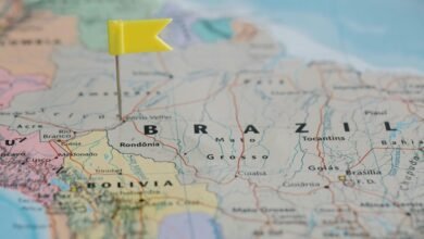 regional mobile behavior insights