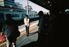 hotline investigation bureau numbers